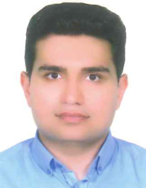 سید احد سید حسینی