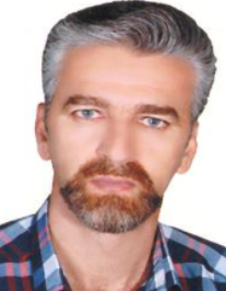 وحید نسائی