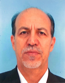 غلامحسین صالحی ذلانی