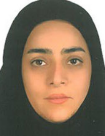 پوران احمدی شولی