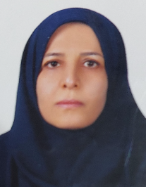 مهناز سادات آقامیری