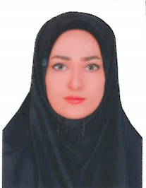 مرضیه السادات طباطبایی