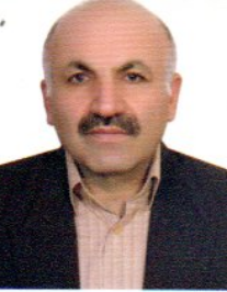حسن فیضی
