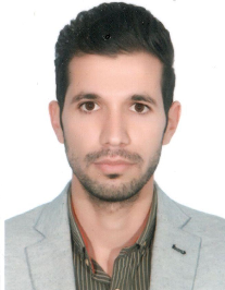 حسین فتحی