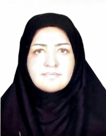 ملیحه حسام پور