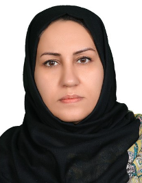 ویدا محدثی