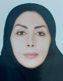 پرنیان میری