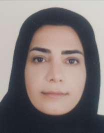 مینا ملک محمودی