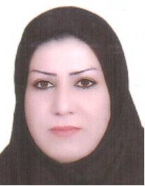مینا نقی لو