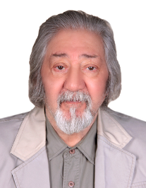 محمدحسین بروج