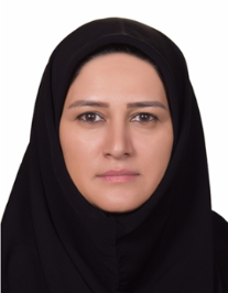 عاطفه صادقی نیا