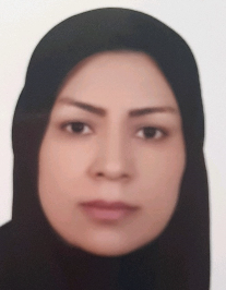 نگین افهمی