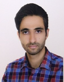 سید حامد حسینی