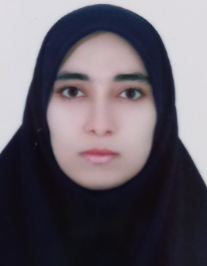نرگس سادات موسوی خسروی