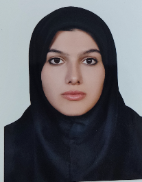 نفیسه نجفی خاتون