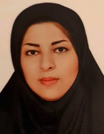 مینا سائلی