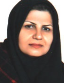 خیرالنساء شیردل