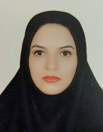 سمیه امانی زردوغان