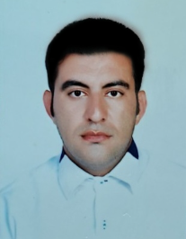 محسن ویسی
