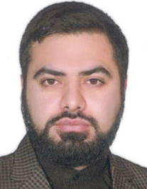 وحید زیدی