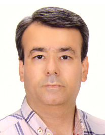 سید علیرضا گنجه