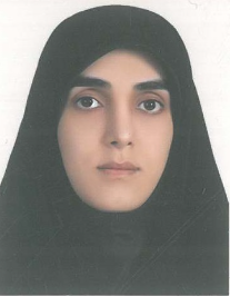 مهدیه برزگری سلطان احمدی