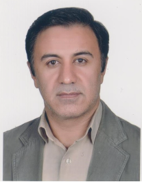شاهین فتحی هفشجانی
