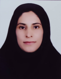 نرگس وزیری مهر