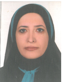 مینا حسینی سده