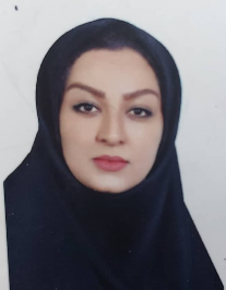 میترا مهدیزاده ارمکی