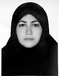 فریبا حسینی