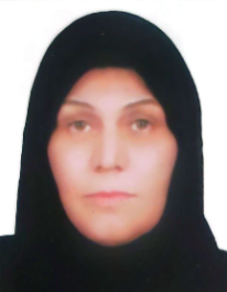 فروغ چیت ساز