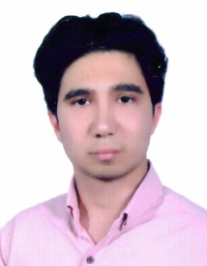 محمد متین عبدالمالکی