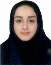 سیده نسرین نصیری قلعه سری