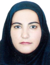 حدیث محمدرضایی