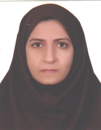 سمیه حسن نتاج صلحدار