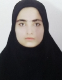 زهرا سلیمانی