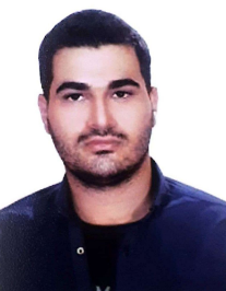 نیما ربیعی