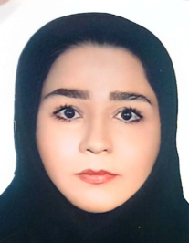 حمیده ناصری انبارداران