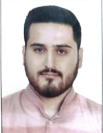 حامد ملاحسنی