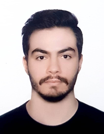 محمدرضا هادی امید