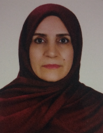 طلعت رافعی