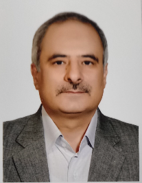 سیدمجتبی مرئی