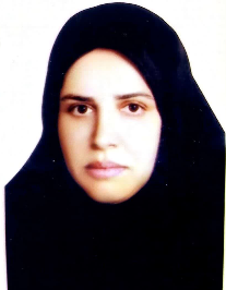 شایسته جنگی رودی