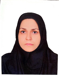 سیده نجمه مهدی زاده