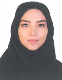ساحل میدان میری