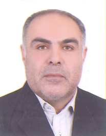 سیدمجتبی محمدی