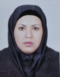 مینا قربانی امیر آبادی