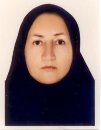نشمینه محمودی نصر آبادی