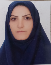 مریم رجبی